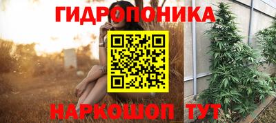 ПСИЛОЦИБИНОВЫЕ ГРИБЫ Кунгур